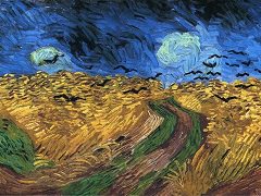 Wheat field with crows